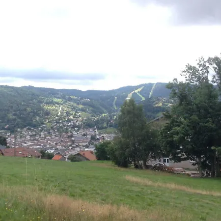 Studio Les Bleuets Gerardmer Exterior photo