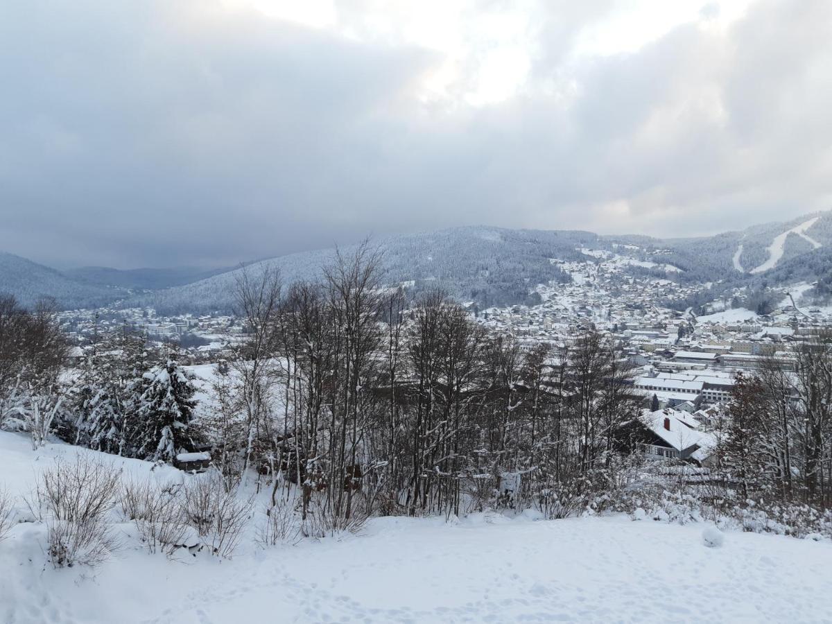 Les Bleuets Apartment Gerardmer