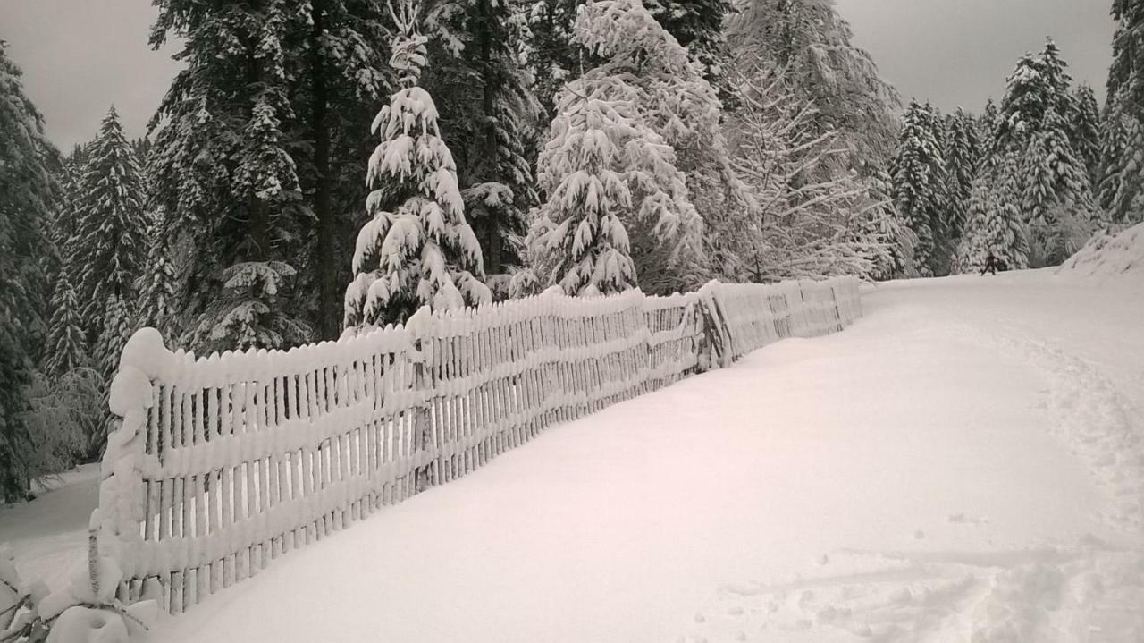 Les Bleuets Gerardmer