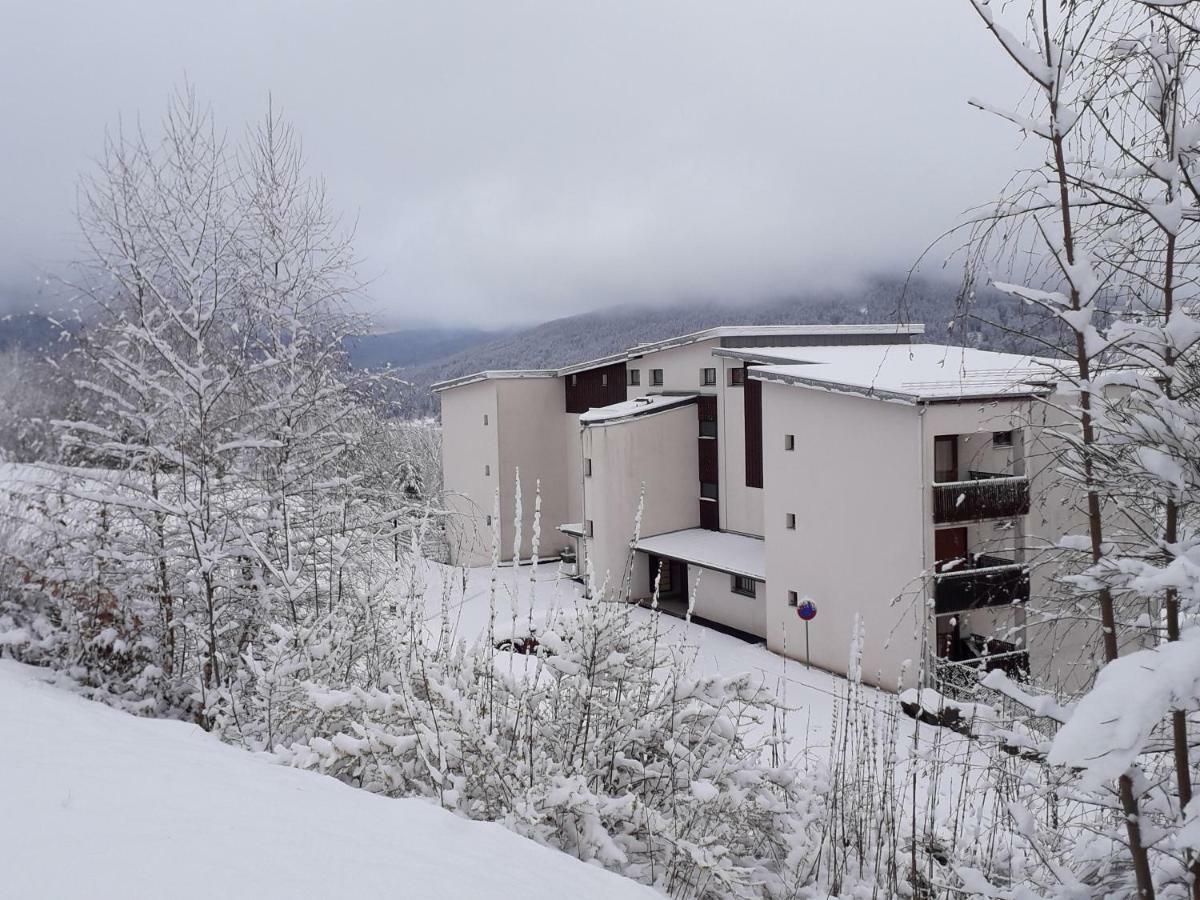 Les Bleuets * Gerardmer