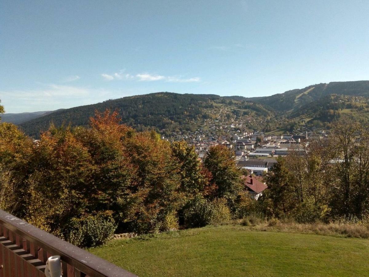 Les Bleuets Apartment Gerardmer
